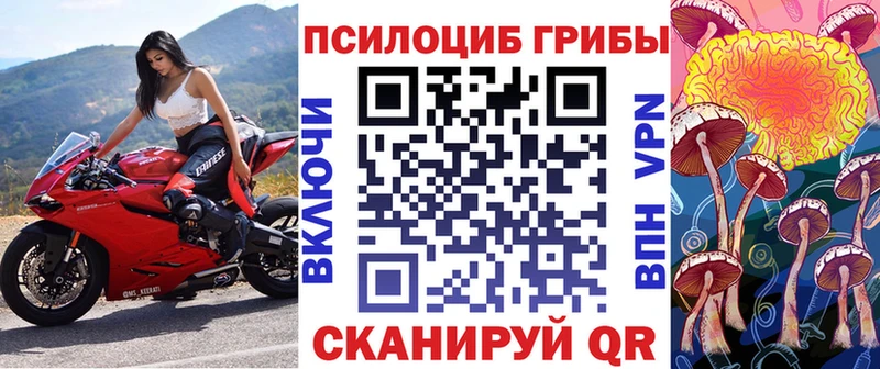 где продают   Волчанск  ссылка на мегу вход  Галлюциногенные грибы прущие грибы 